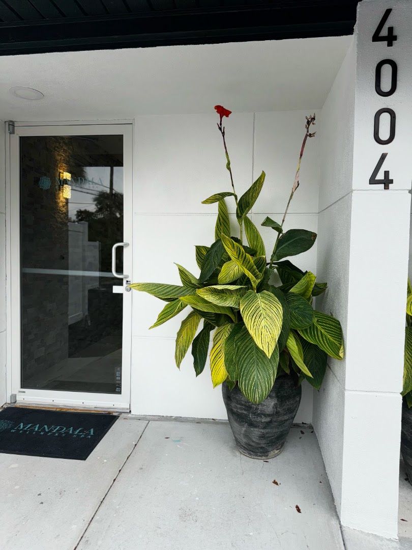 Mandala Wellness Spa in St Petersburg, FL