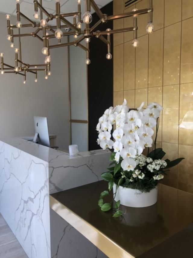 EllEve Med Spa in Los Angeles, CA
