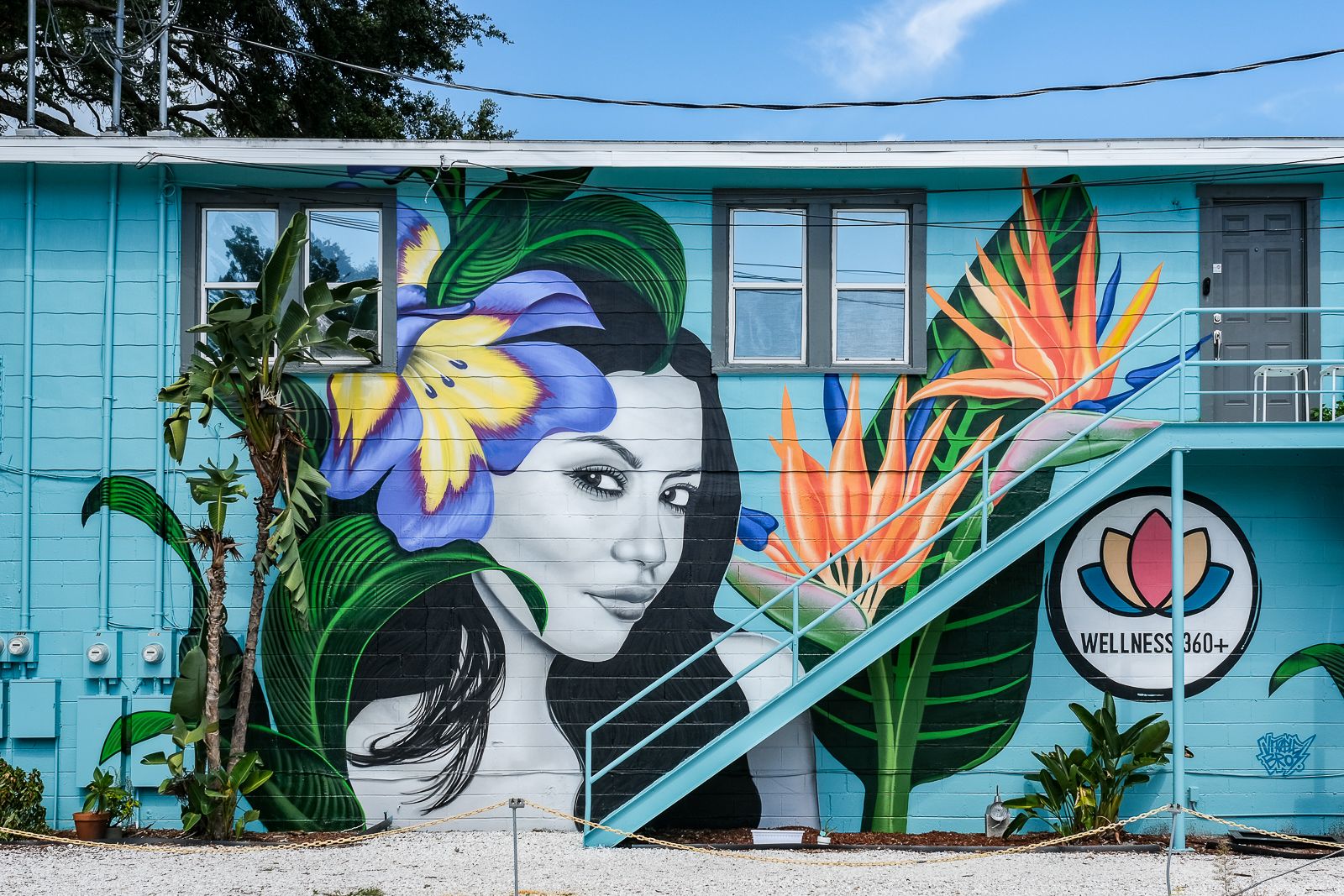 Wellness 360 Plus in Tampa, FL