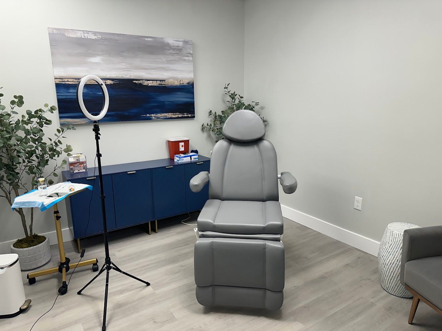 The Wellness Reeset in Dunedin, FL