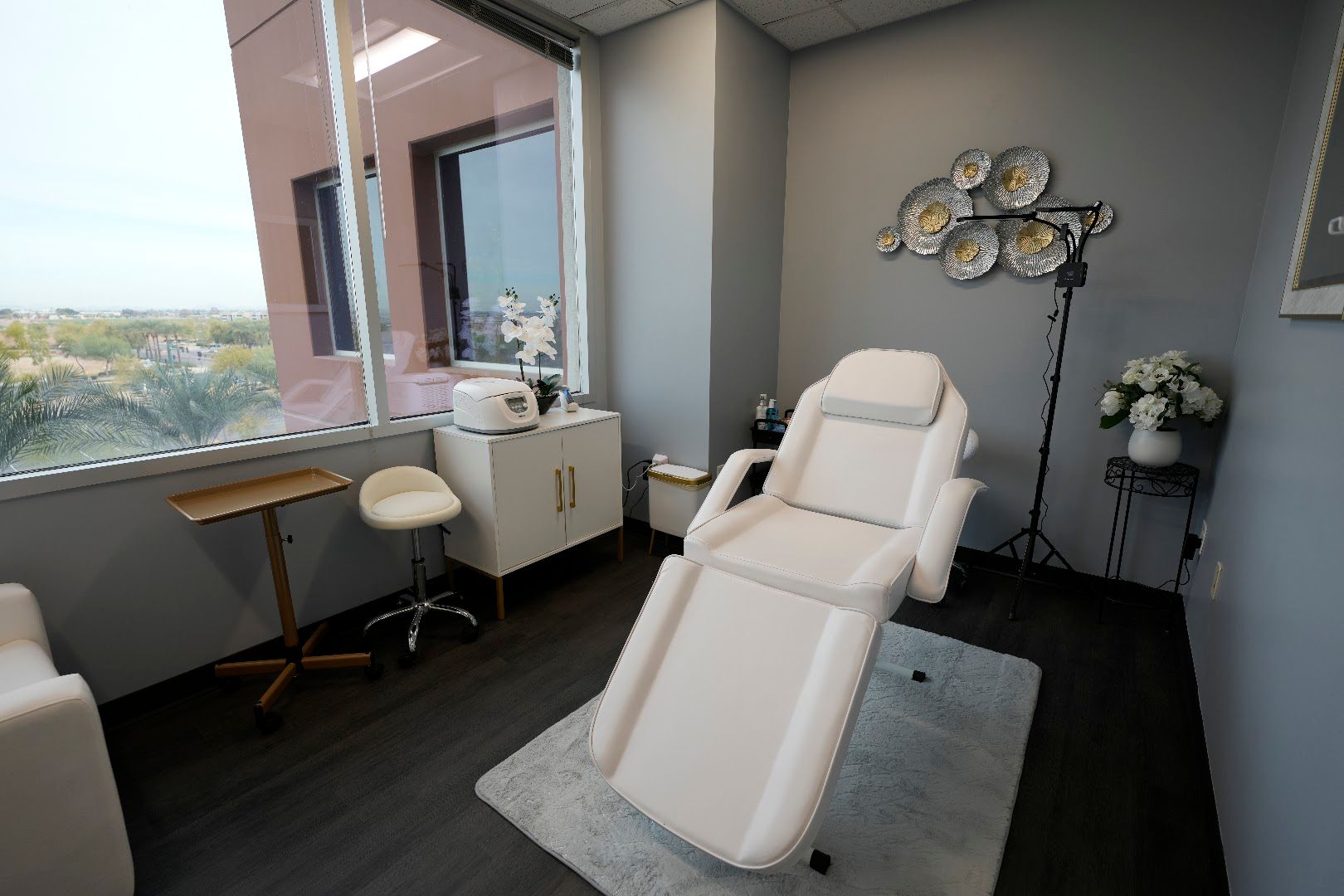 Vivus Wellness Services in Phoenix, AZ